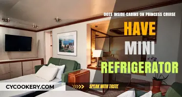 Princess Cruise Inside Cabins: Mini Fridge Included or Not?