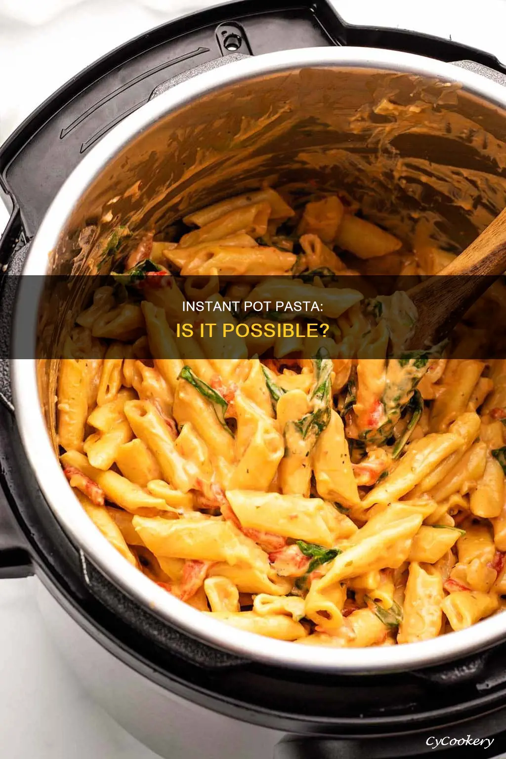 does insta pot cook pasta