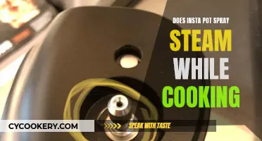 Insta Pot Cooking: Steam Spray and You