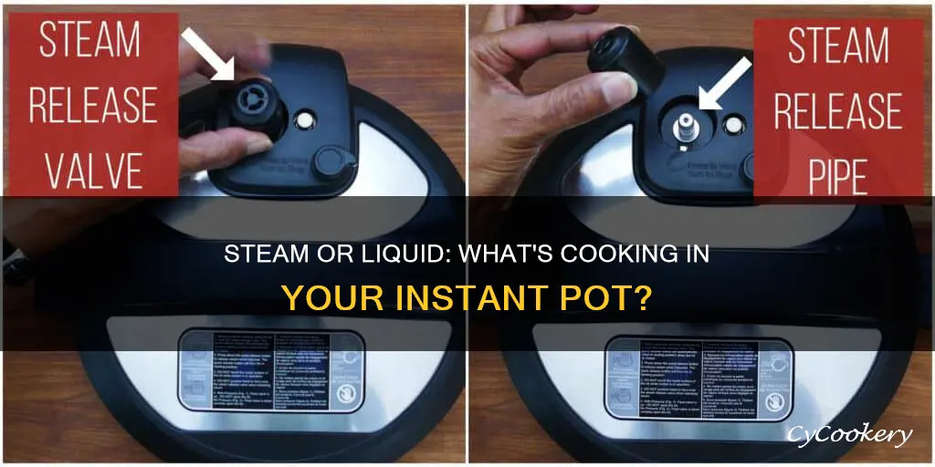 does instant pot cook with steam or liquid