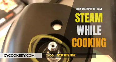 Instant Pot Steam Release: What You Need to Know