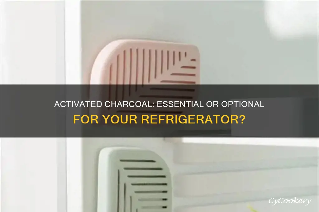 does it have to be activated charcoal refrigerator