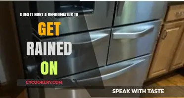 Can Rain Damage Your Fridge? Outdoor Exposure Risks Explained
