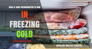 Can Freezing Temperatures Damage Your Refrigerator? What You Need to Know