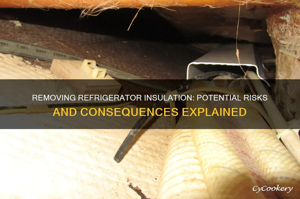 does it hurt the refrigerator to remove the insulation