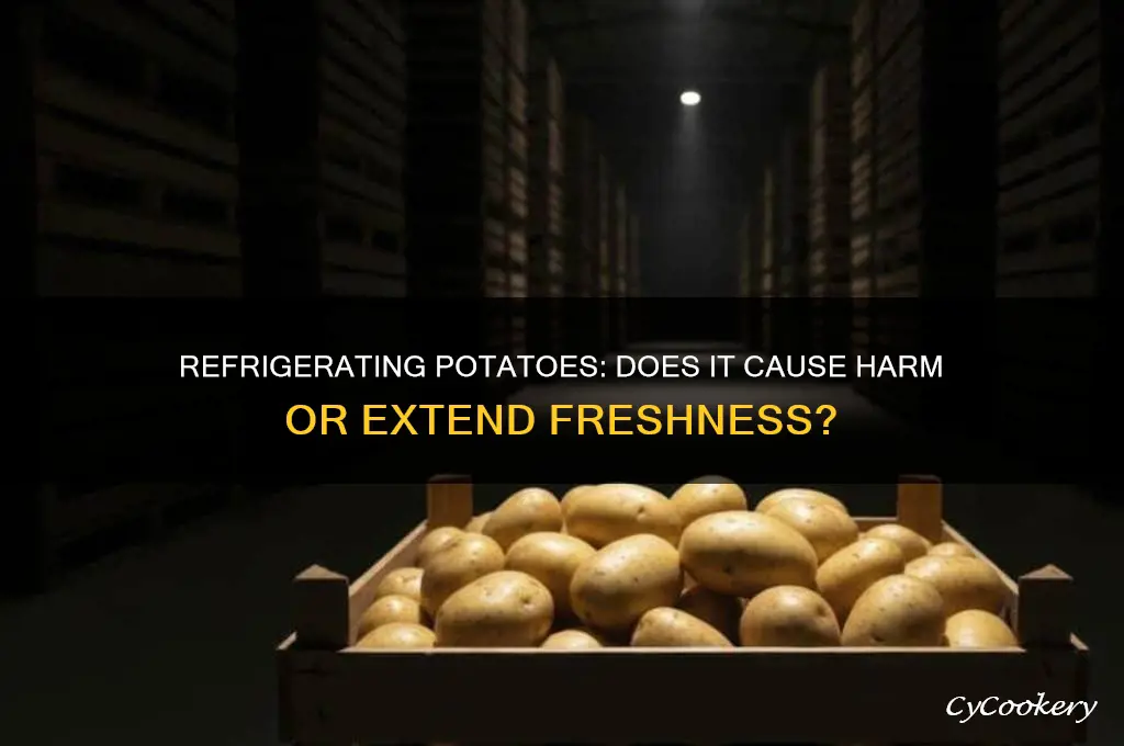 does it hurt to put potatoes in the refrigerator