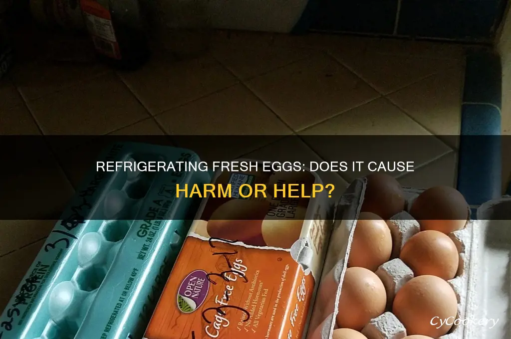 does it hurt to refrigerate fresh eggs