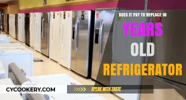 Is Upgrading Your Decade-Old Fridge a Cost-Effective Choice?