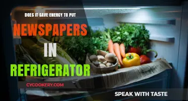 Newspapers in the Fridge: Energy-Saving Hack or Myth?