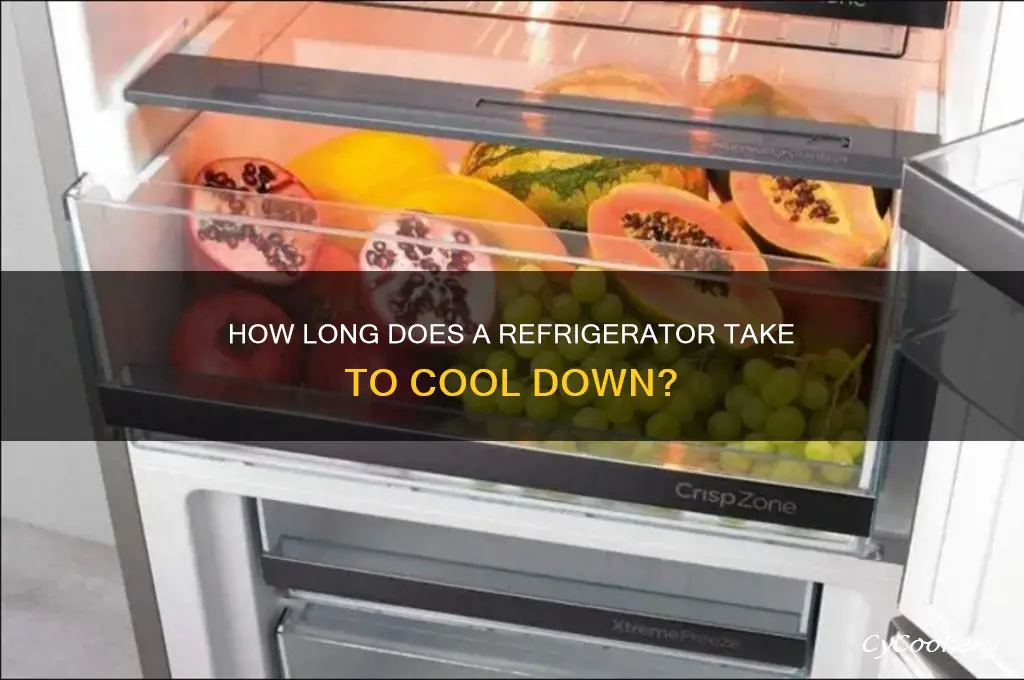 does it take a refrigerator 24 hours to cool