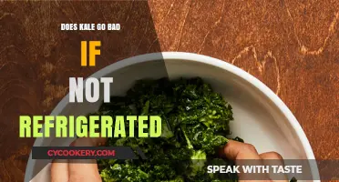Does Kale Spoil Without Refrigeration? Storage Tips and Shelf Life Explained
