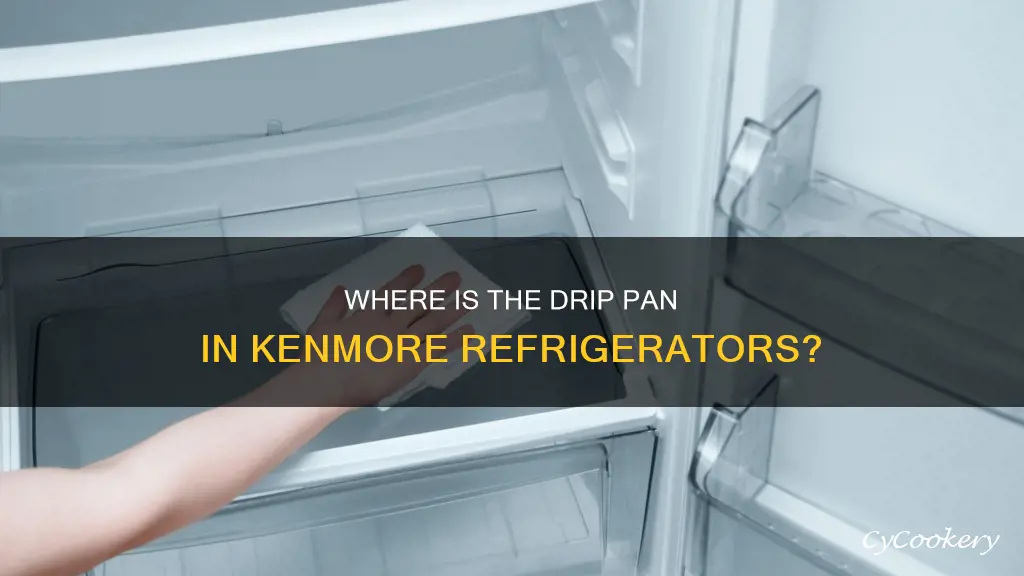 does kenmore refridgerators have drip pan underneath