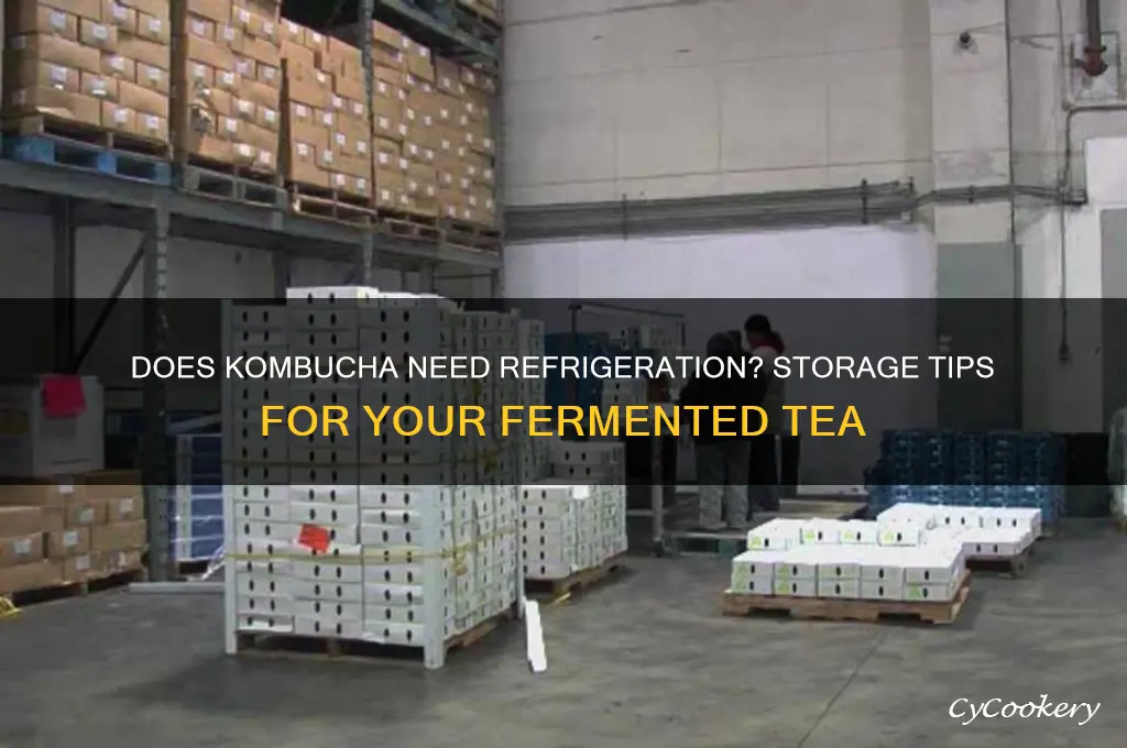does kombucha tea have to be refrigerated