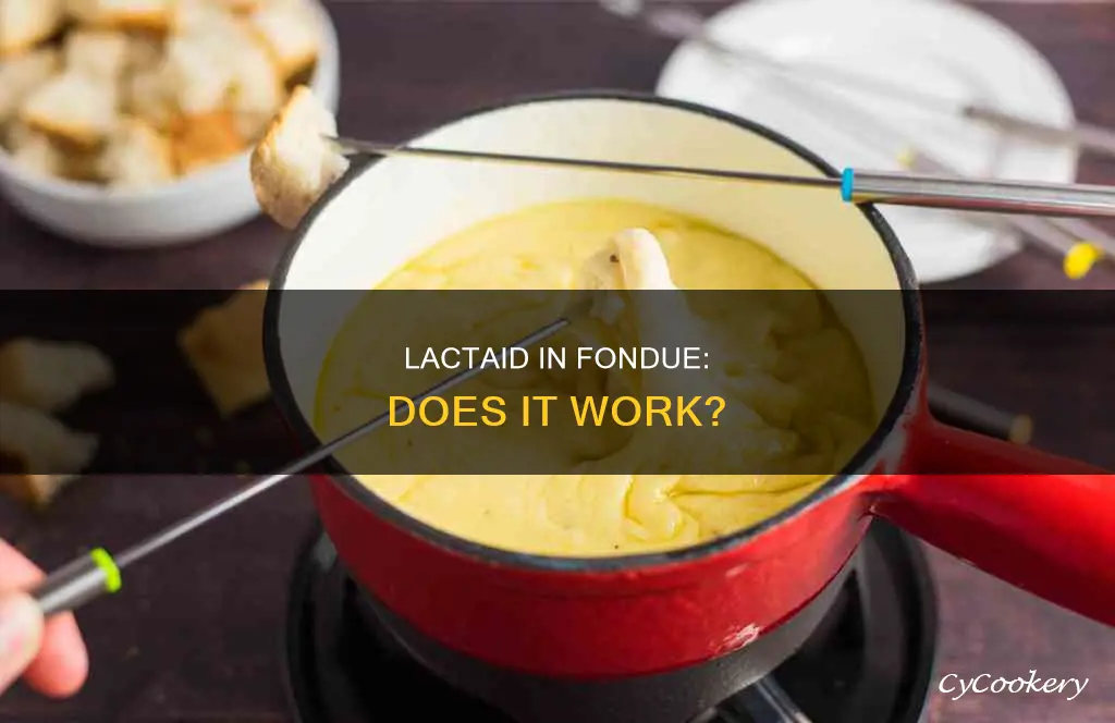 does lactaid work fondue