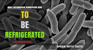 Does Lactobacillus Acidophilus Need Refrigeration? Storage Tips Revealed