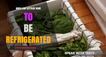 Should Leaf Lettuce Be Refrigerated? Storage Tips for Freshness