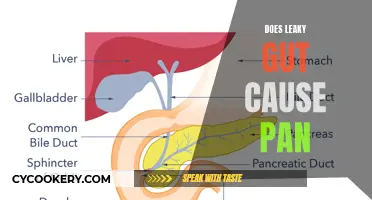 Leaky Gut and Chronic Pain: Is There a Link?