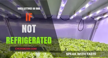 Does Lettuce Spoil Without Refrigeration? Storage Tips and Shelf Life