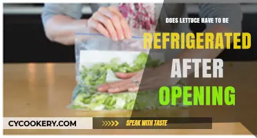 Should You Refrigerate Lettuce After Opening? Storage Tips Revealed