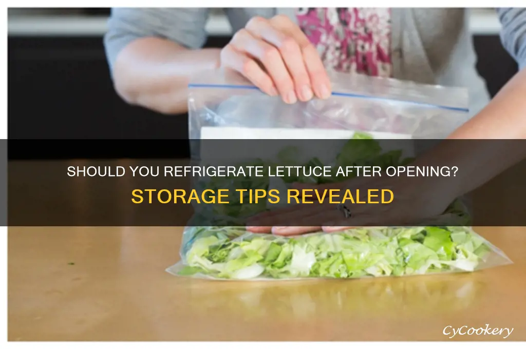 does lettuce have to be refrigerated after opening