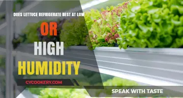 Optimal Lettuce Storage: Low vs. High Humidity in the Fridge
