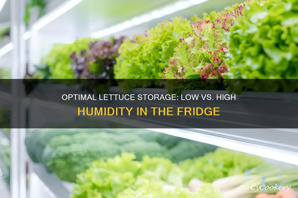 does lettuce refrigerate best at low or high humidity