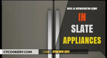 Does LG Offer Slate Finish Refrigerators? A Comprehensive Guide