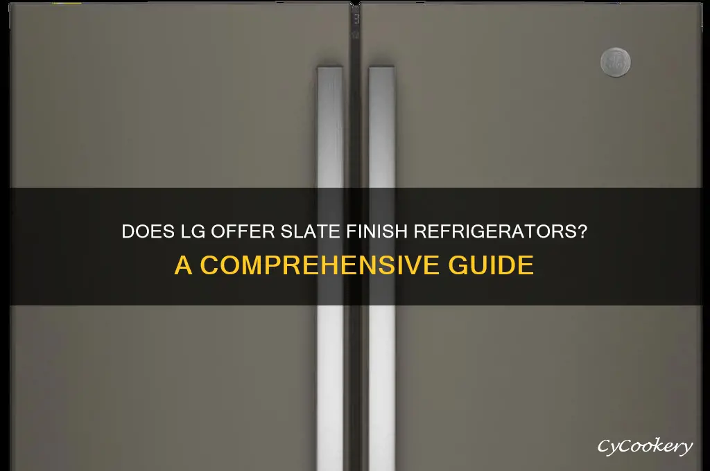 does lg refrigerator come in slate appliances