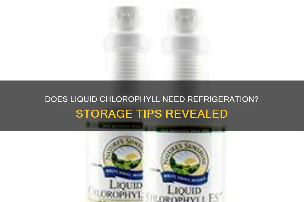 does liquid chlorophyll have to be refrigerated