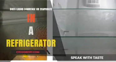 Refrigerator Science: Condensation vs. Evaporation of Liquids Explained