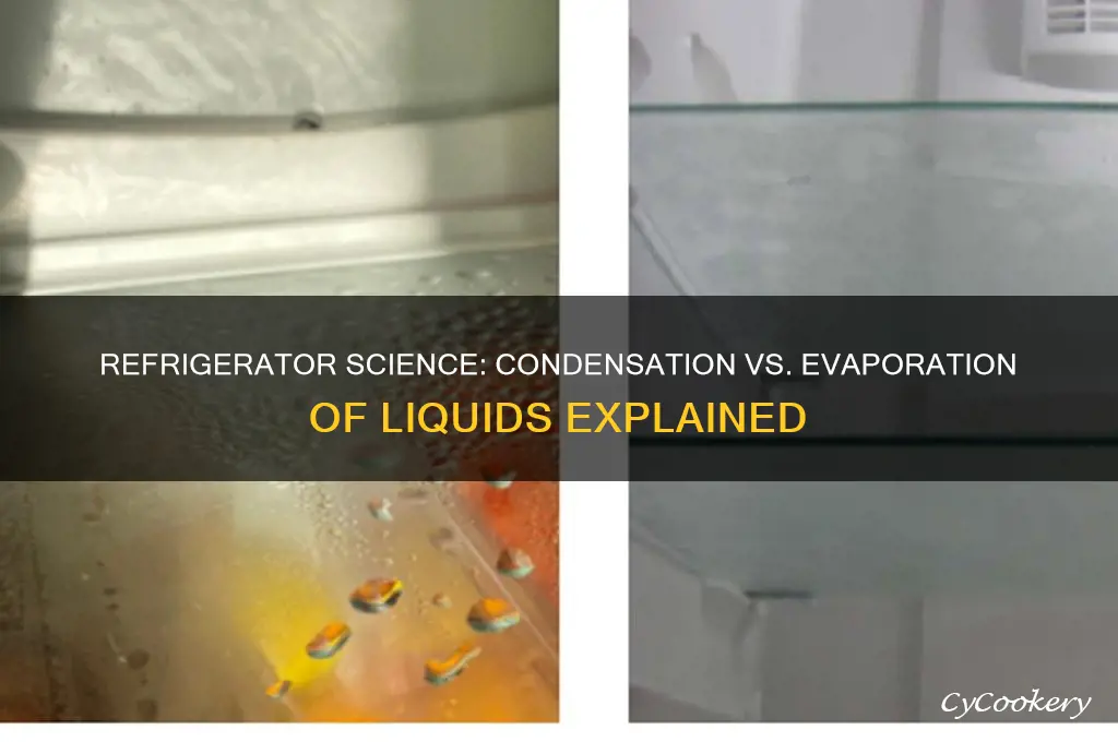 does liquid condense or evaporate in a refrigerator