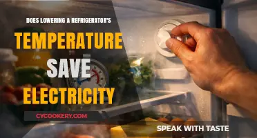 Lowering Fridge Temperature: Does It Really Save Electricity?