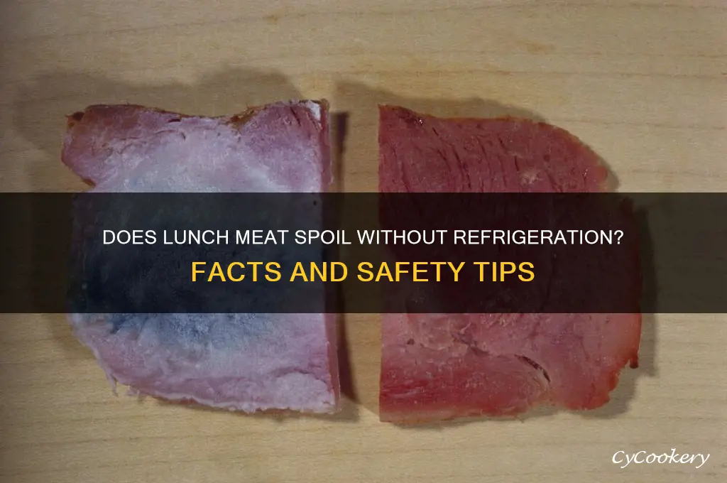 does lunch meat go bad if not refrigerated