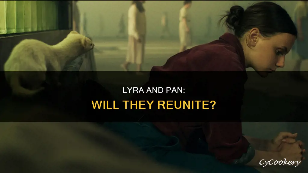 does lyra and pan reunite
