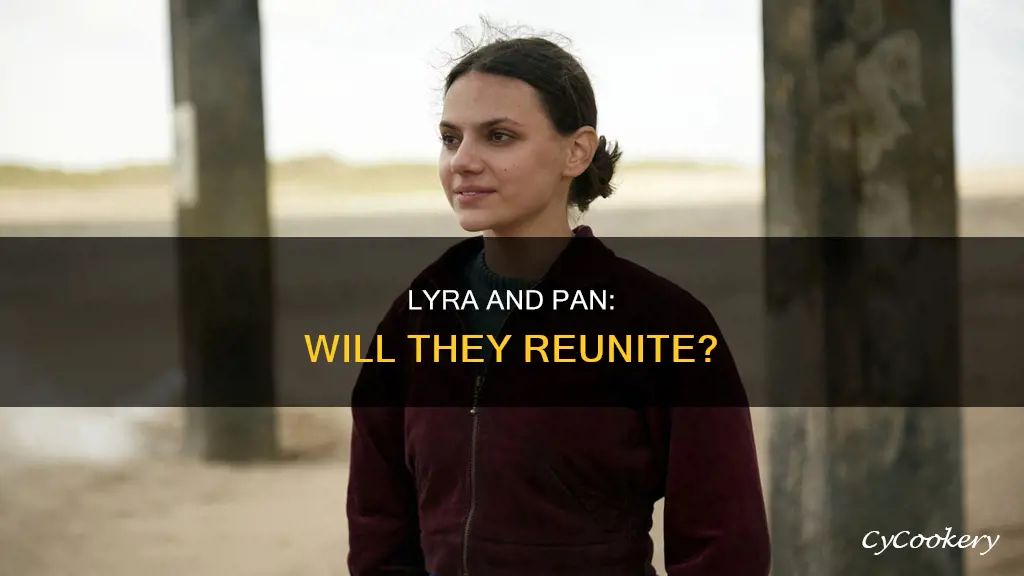 does lyra ever see pan again