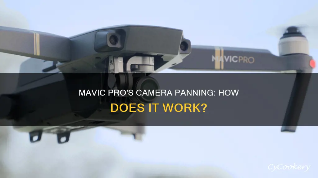 does mavic pro camera pan