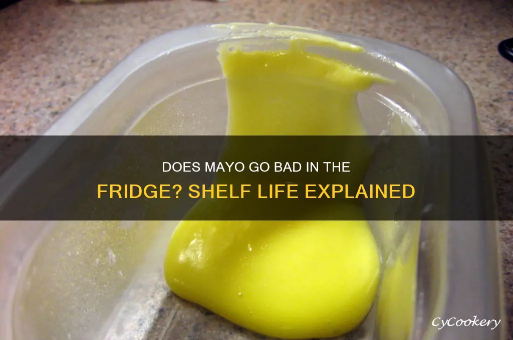 does mayo go bad in the refrigerator