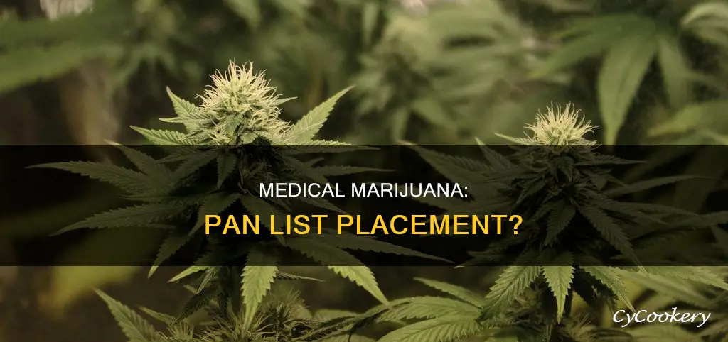 does medical merijuana put you on pan list
