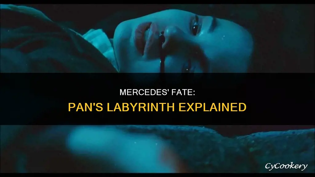 does mercedes die in pan
