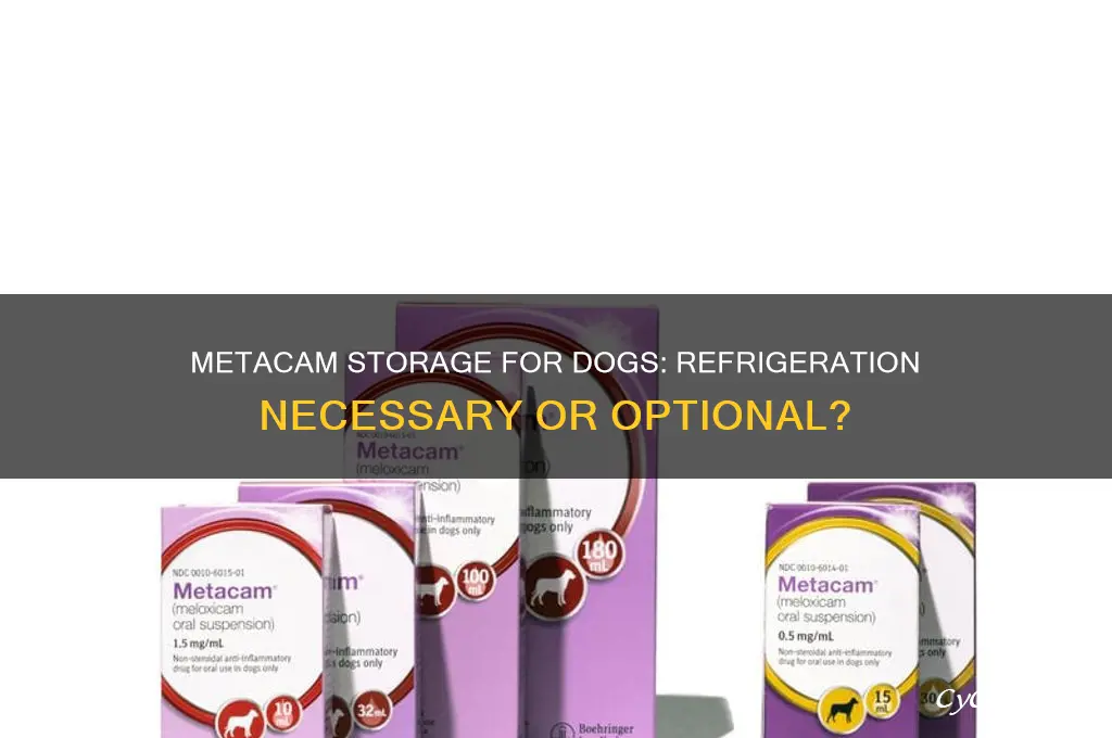 does metacam have to be refrigerated dogs