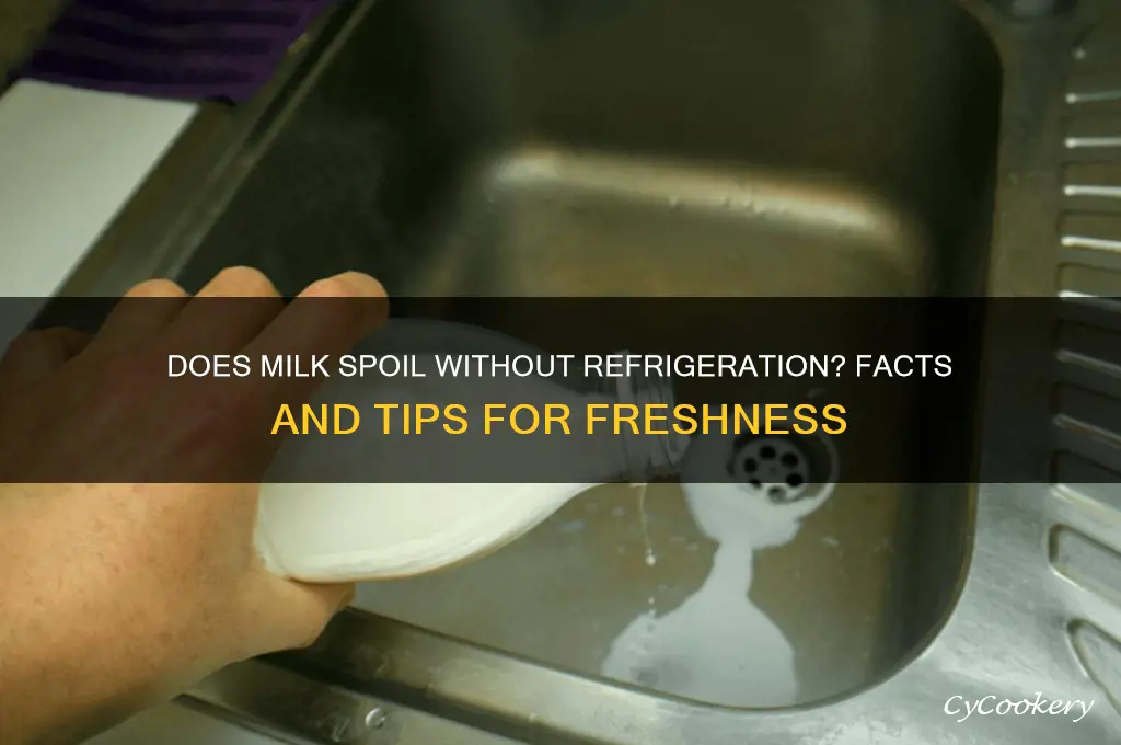 does milk turn sour when not refrigerated
