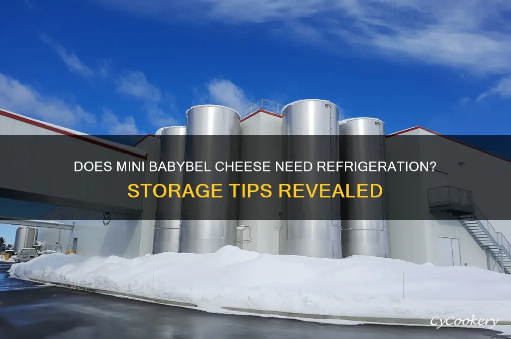 does mini babybel cheese have to be refrigerated