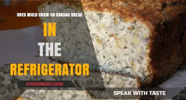 Can Mold Grow on Refrigerated Banana Bread? Facts and Prevention Tips