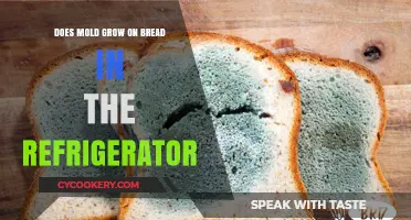 Can Mold Grow on Bread in the Fridge? Facts Revealed