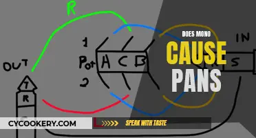 Mono and Pans: Is There a Link?
