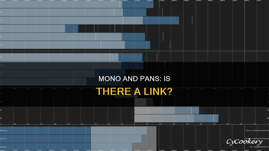 does mono cause pans