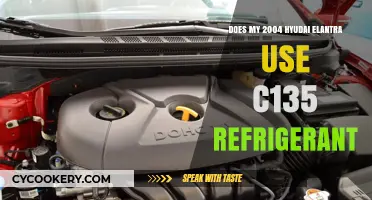 2004 Hyundai Elantra: Does It Use C135 Refrigerant?