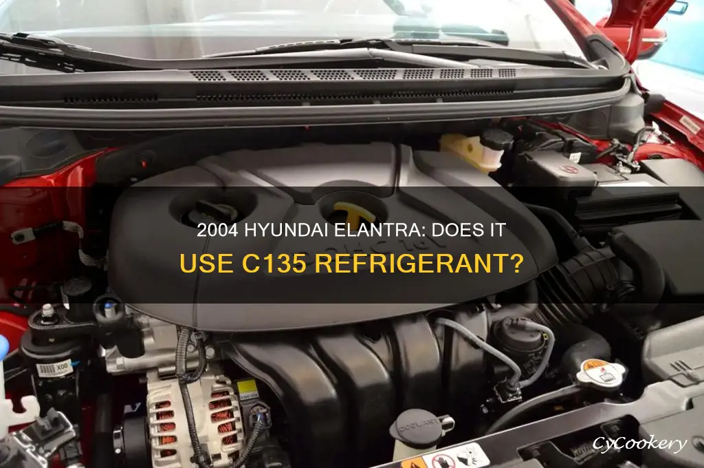 does my 2004 hyudai elantra use c135 refrigerant