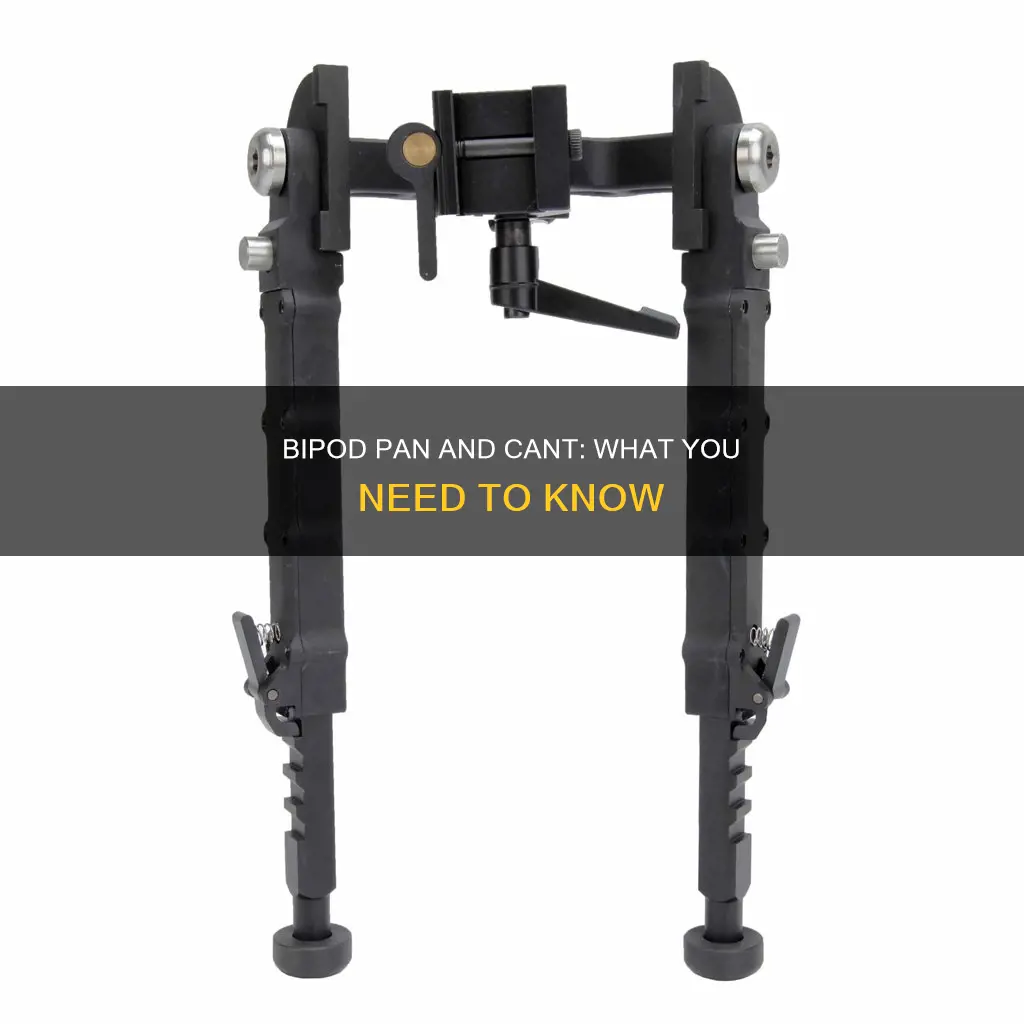 does my bipod have pan and cant