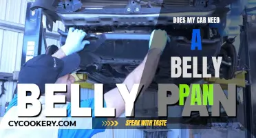 Belly Pan: Necessary Car Accessory?